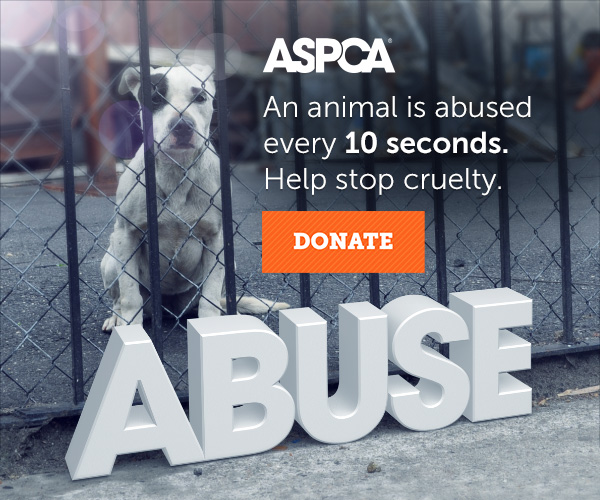ASPCA banner ad
