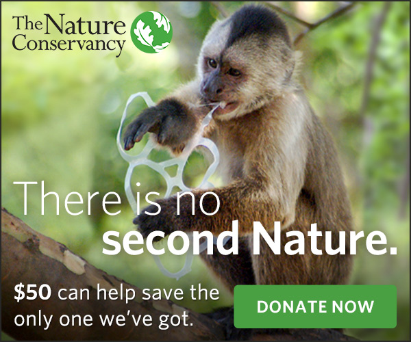 The Nature Conservancy banner ad that says 'There is no second Nature.'