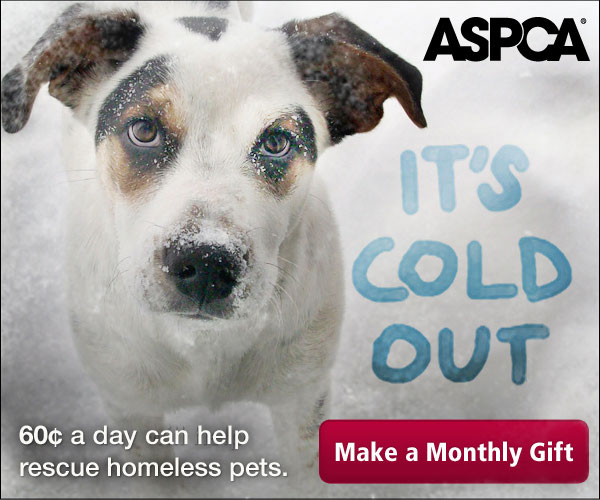 ASPCA Banner Ad